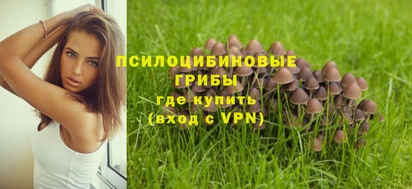 а пвп мука Абдулино