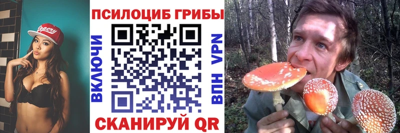Галлюциногенные грибы Psilocybine cubensis Красково